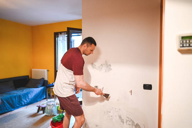 Best Bathroom Mold Remediation in Temelec, CA